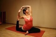 The Yoga Tree