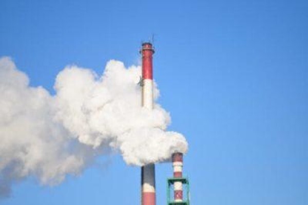 The Carbon Report