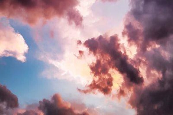 The Carbon Report