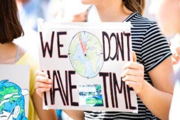 The Carbon Report