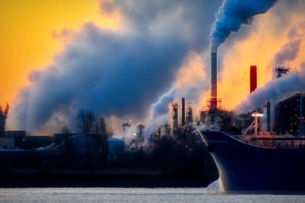 The Carbon Report