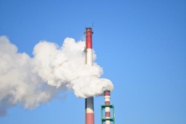 The Carbon Report