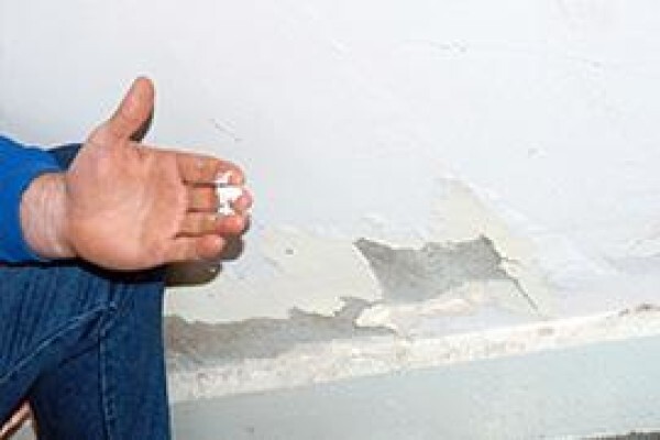 The Painting Company