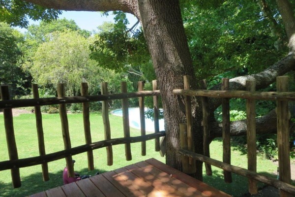 Treetops & Temples