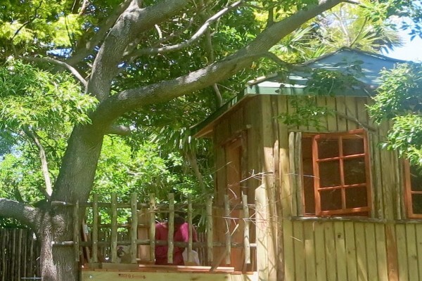 Treetops & Temples