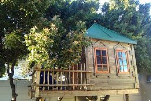 Treetops & Temples
