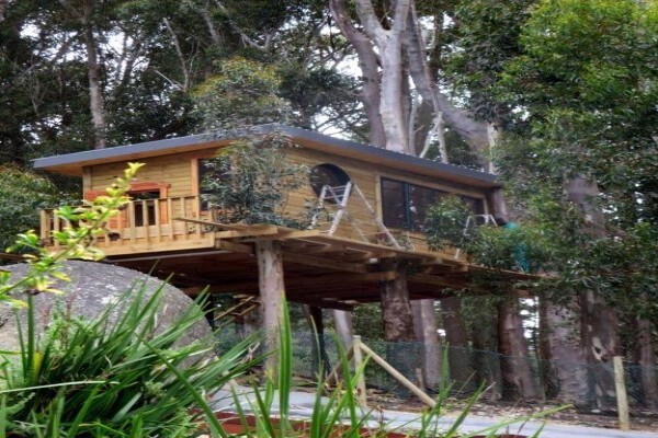 Treetops & Temples