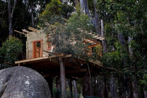 Treetops & Temples