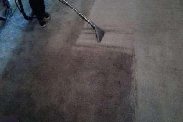 True Clean