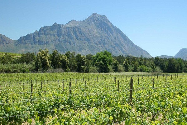 Tulbagh Wine Route