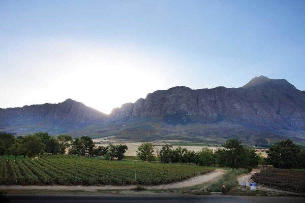 Tulbagh Wine Route