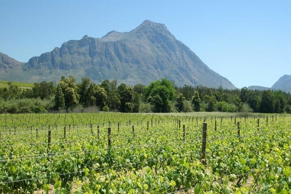 Tulbagh Wine Route