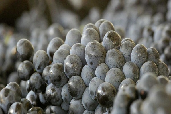 Tulbagh Wine Route