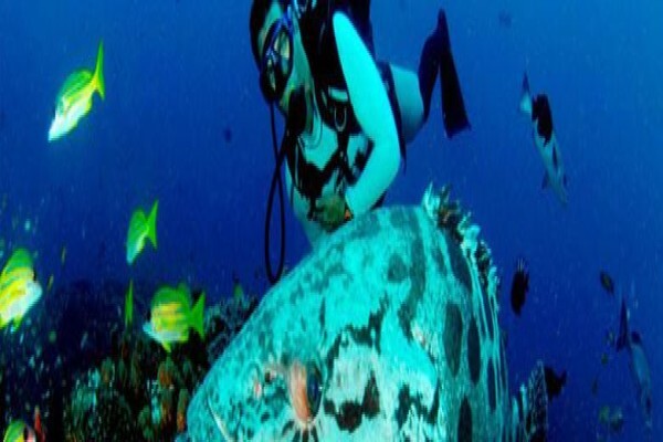 Tours-Mozambique