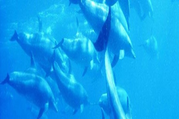 Tours-Mozambique