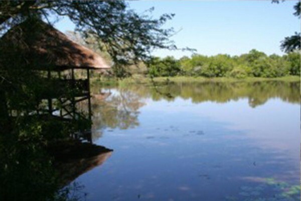 Venues For Conferences In Africa