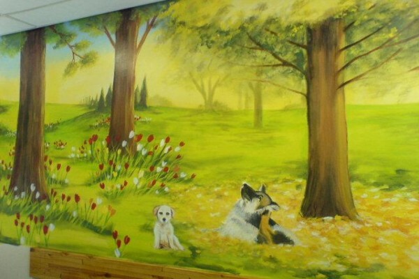 Wall Murals & More