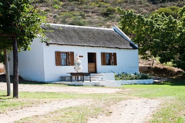 Weltevrede