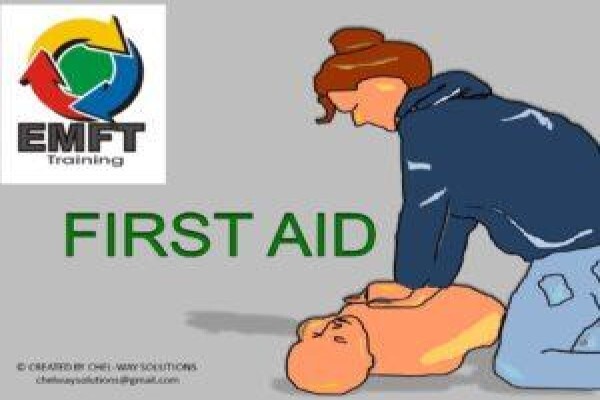 EMFT Training