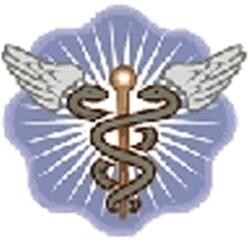 The First Aid Academy