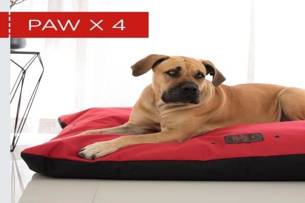 Wagworld