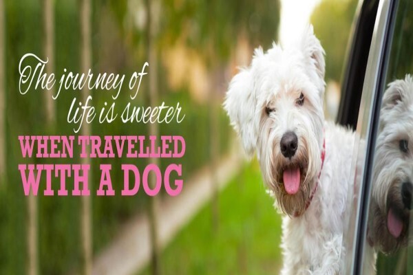 Wagworld