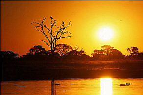 Y Africa Destinations