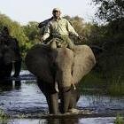 Y Africa Destinations