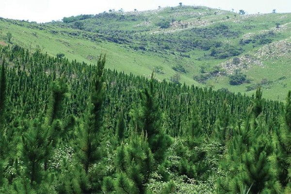 York