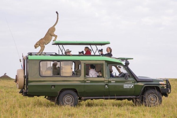 Wildlife Photo Safaris
