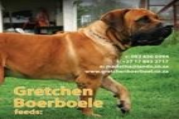 Wuma Dog Food