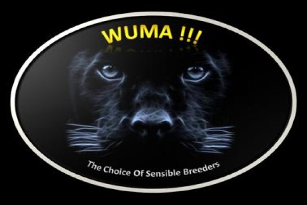 Wuma Dog Food