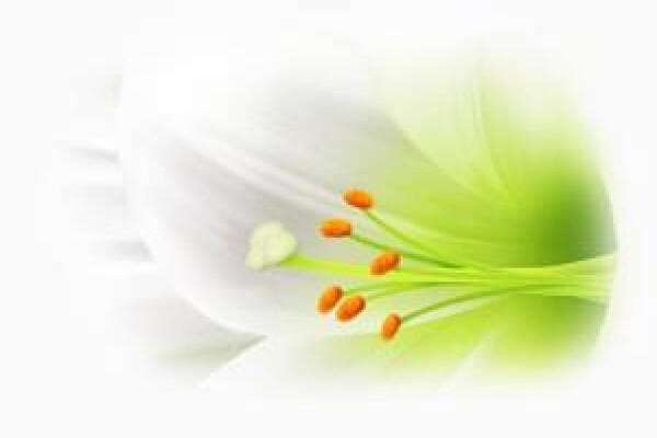 Zeal Health