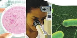 Swift Micro Laboratories (Pty) Ltd