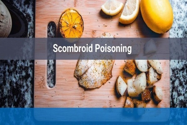 Food Consulting Services CC