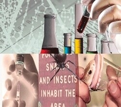 National Health Laboratory Services