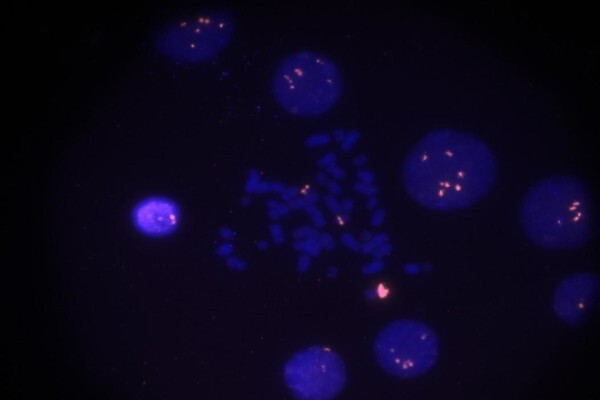 Unistel Medical Labs