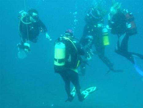 Bluestar Diving