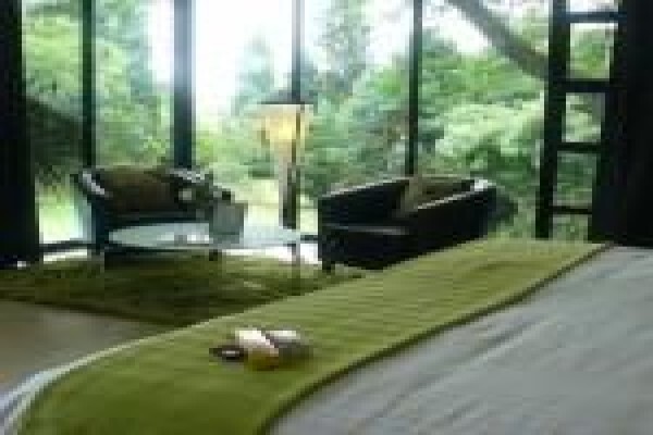 Bluswanguesthouse