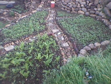 B.M.S Polluspot Complex Projects Co-Operative Limited