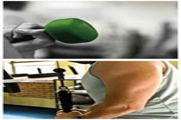 Body Science Personal Training Studio
