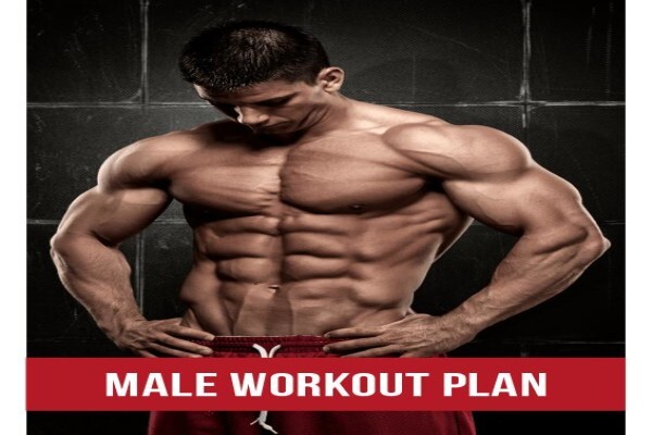 Body Sculpt Labs