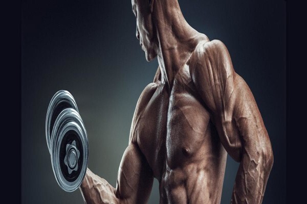 Body Sculpt Labs