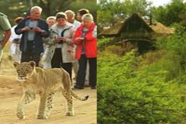 Bona Intaba Lodges