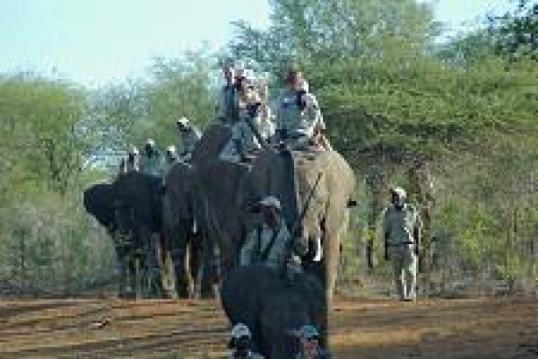 Bona Intaba Lodges