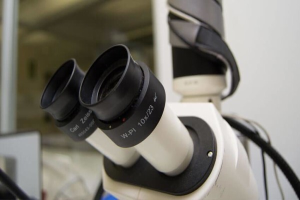 Microchem Lab Services (Pty) Ltd