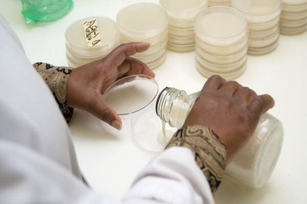 Microchem Specialized Lab Services (Pty) Ltd