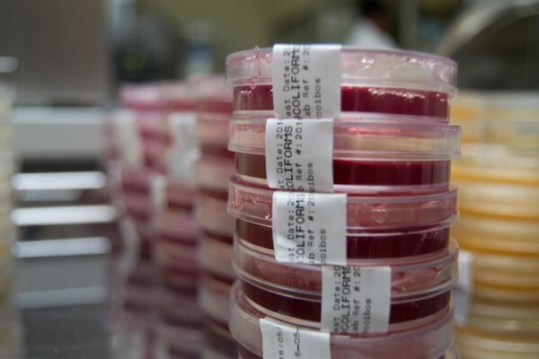 Microchem Specialized Lab Services (Pty) Ltd