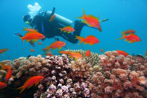 Bonito Bay