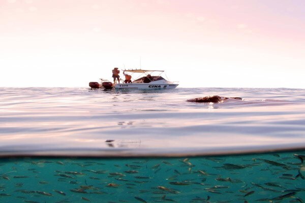 Bonito Bay